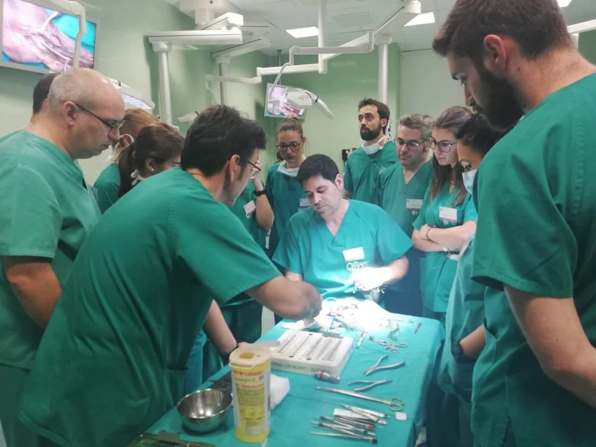 Curso de cirugía del pie